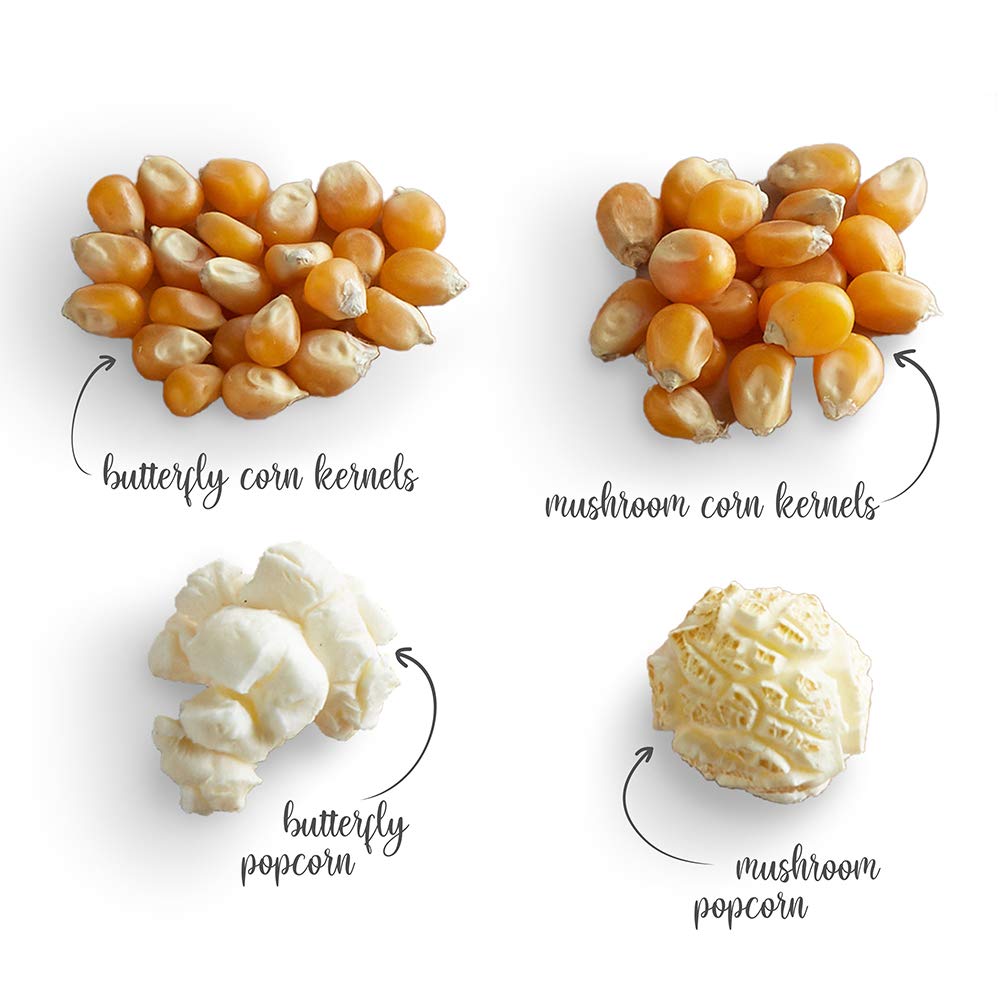 Popcorn Seeds