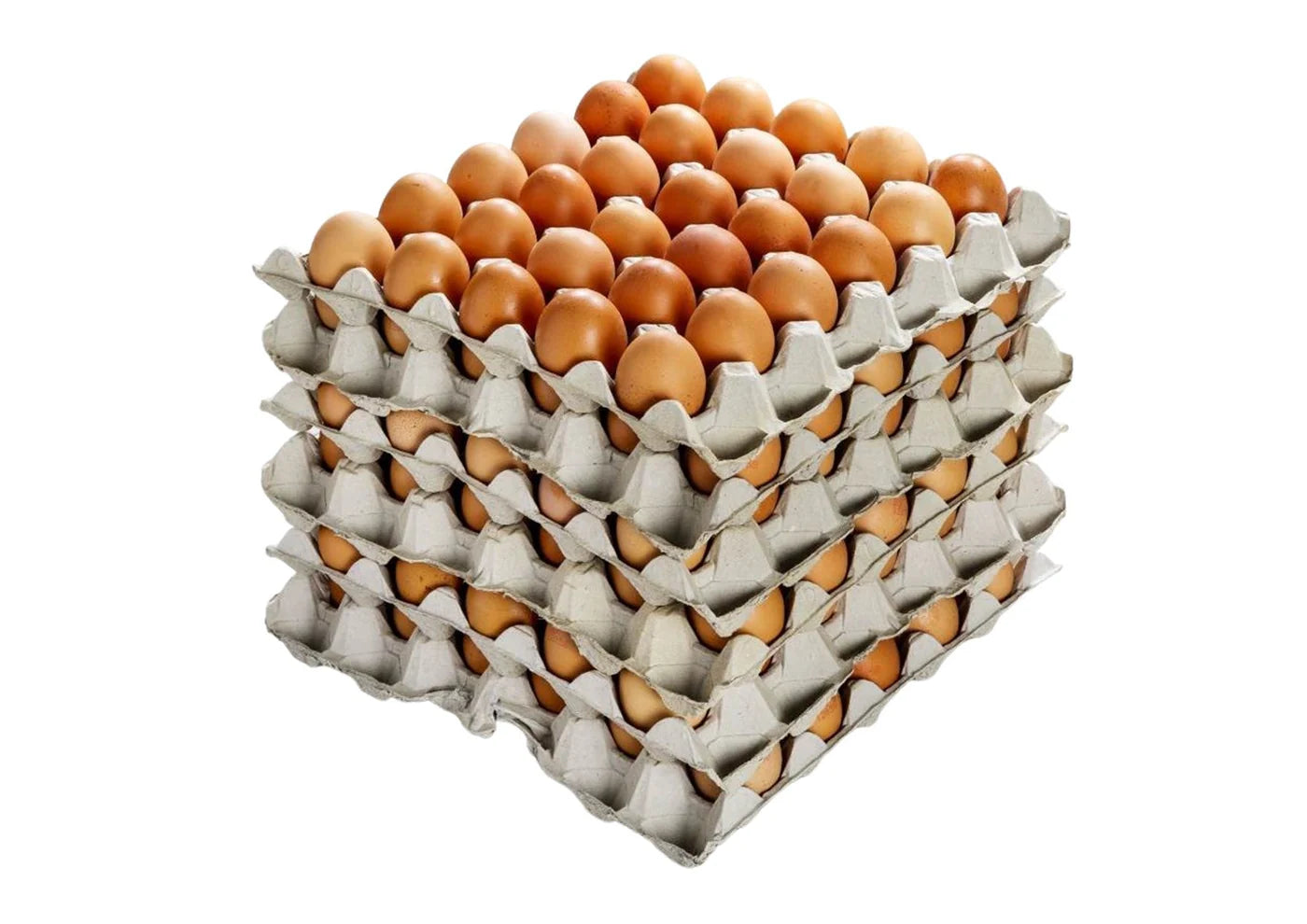Eggs & Egg Substitutes Wholesale