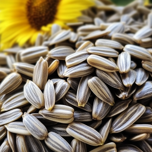 Sunflower Seeds