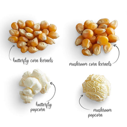 Bulk Popcorn Seeds