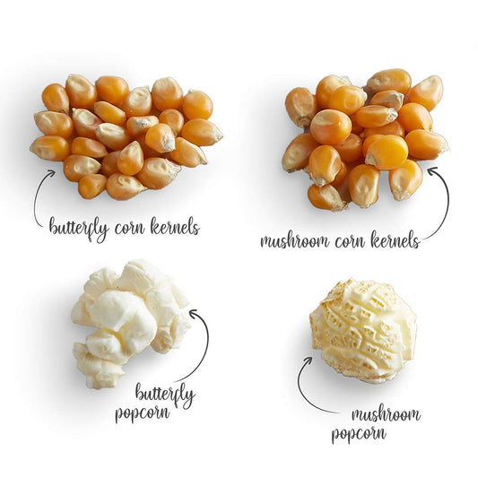 Popcorn Seeds